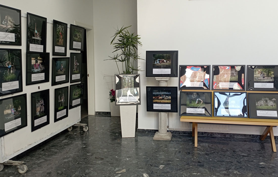 patitas-e-punteras-exposicion