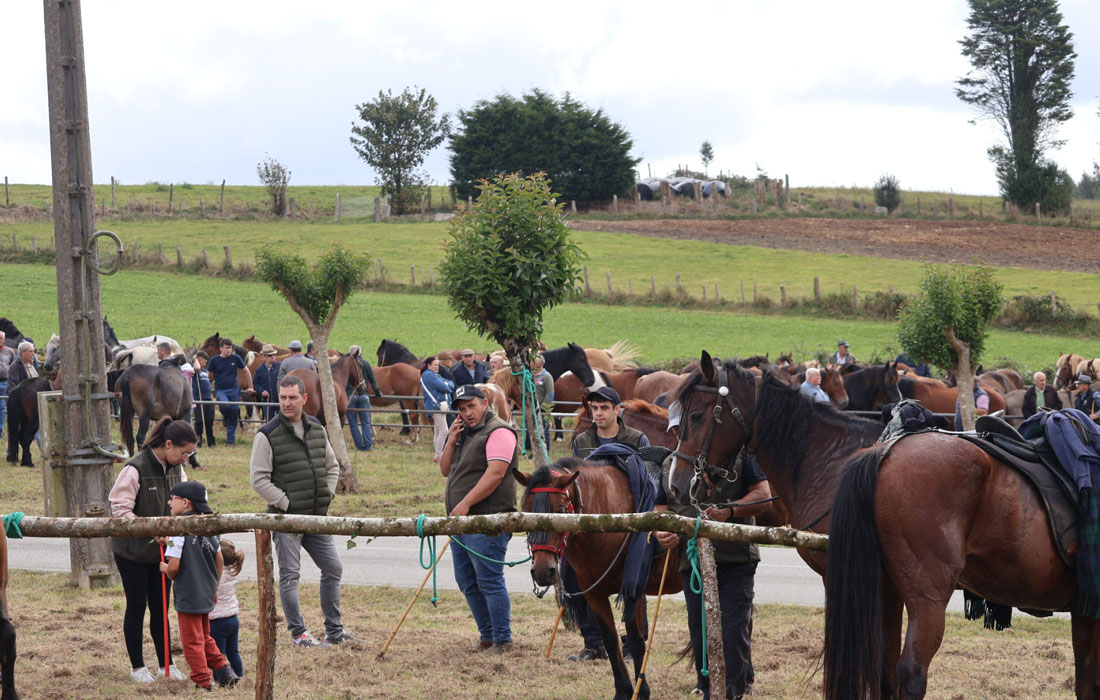 Augaxosa-acolleu-a-feira-de-gando-Riotorto