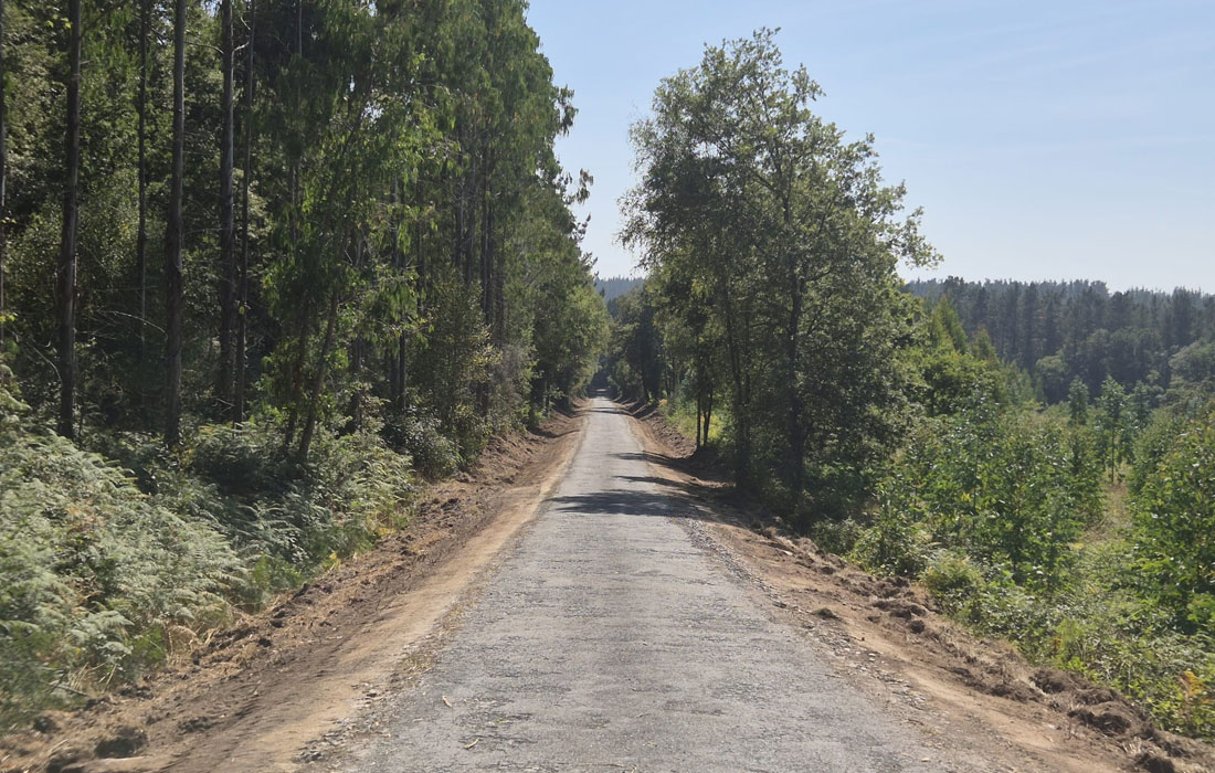 caminos-castro-de-rei