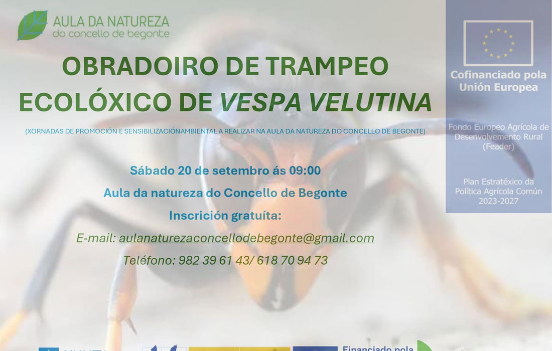obradoiro-de-trampeo-velutina-begonte