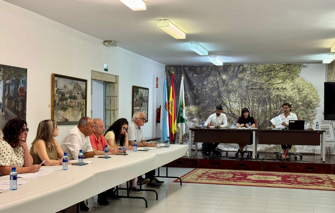 pleno-vilalba