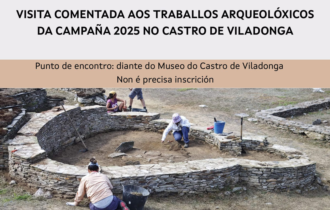 viista-castro-de-viladonga