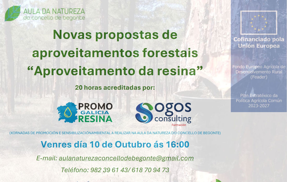aproveitamentos-resina-curso-begonte