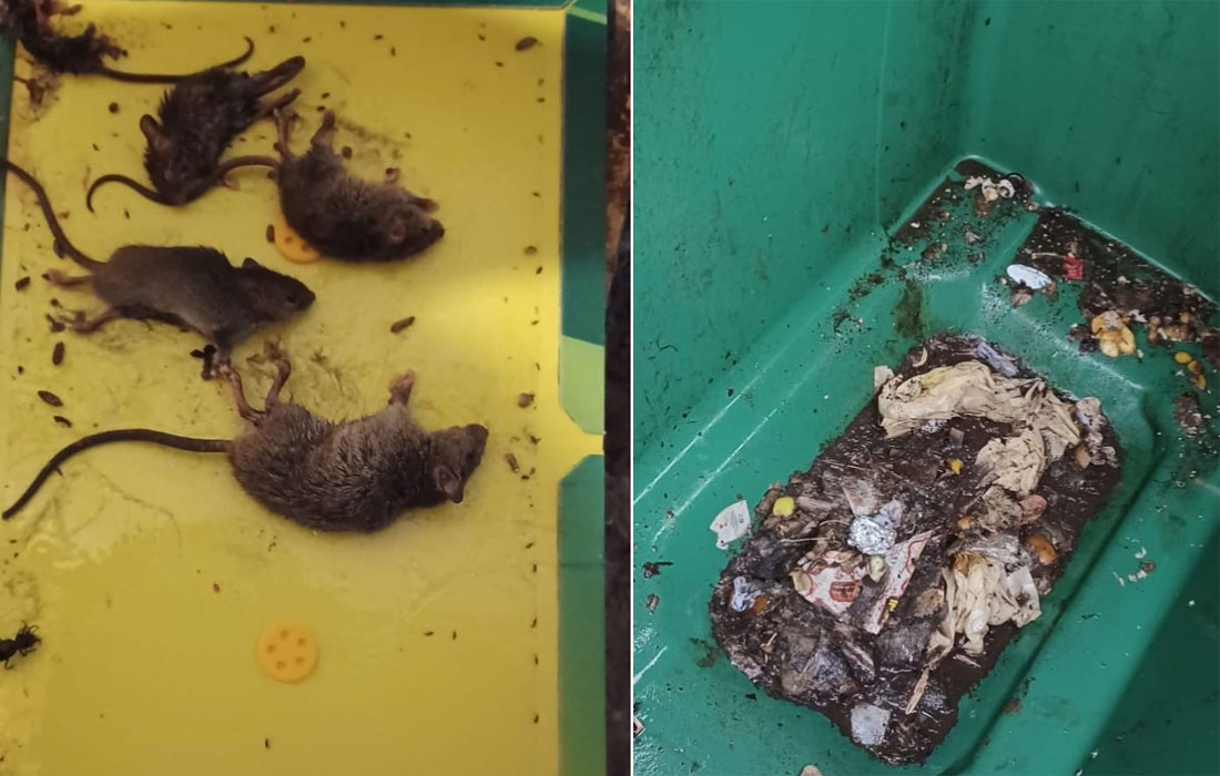 contedores-lixo-muras