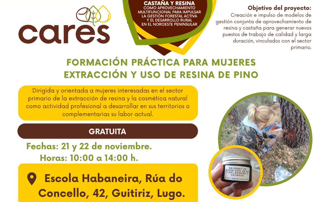 curso-castana-resina-guitiriz