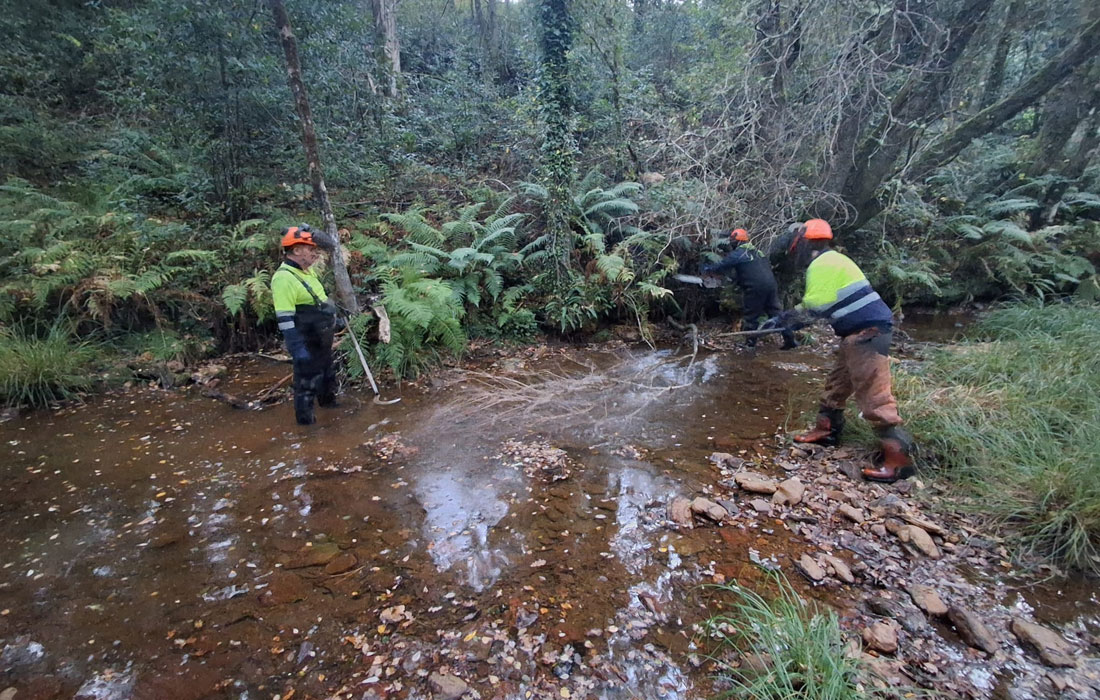 labores-conservacion-rios-as-pontes