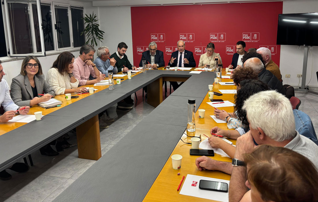 reunión-Executiva-Provincial-PSdeG-Lugo