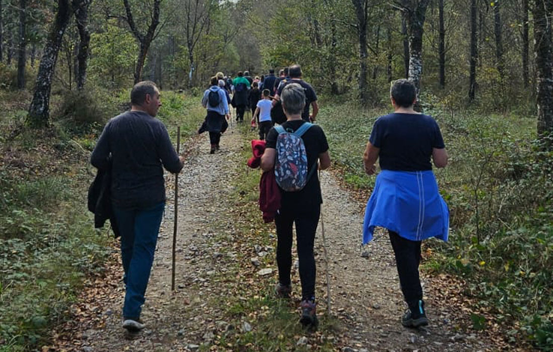 ruta-as-bidueiras-guitiriz