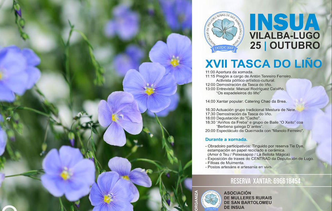 tasca-do-lino-insua