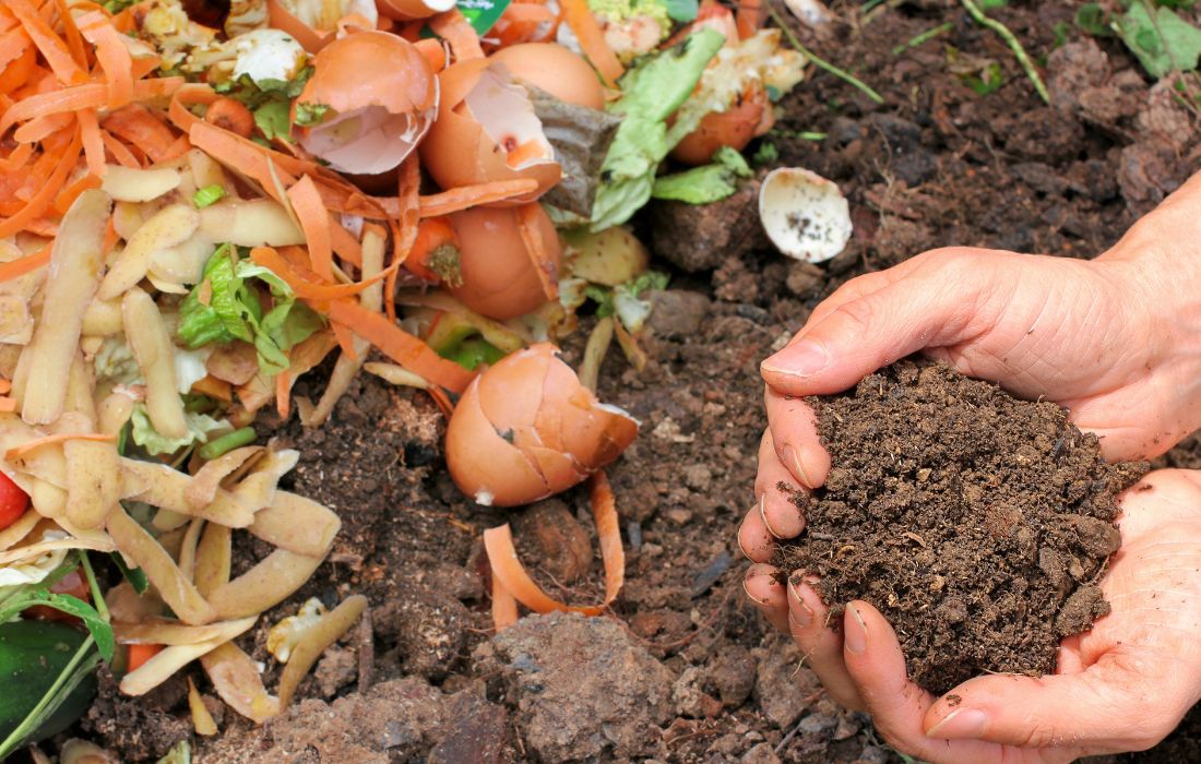 AS PONTES compostaxe