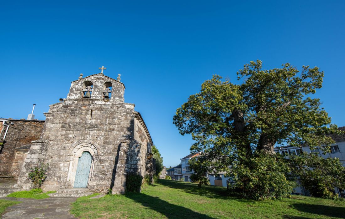 BEGONTE iluminacion nadal