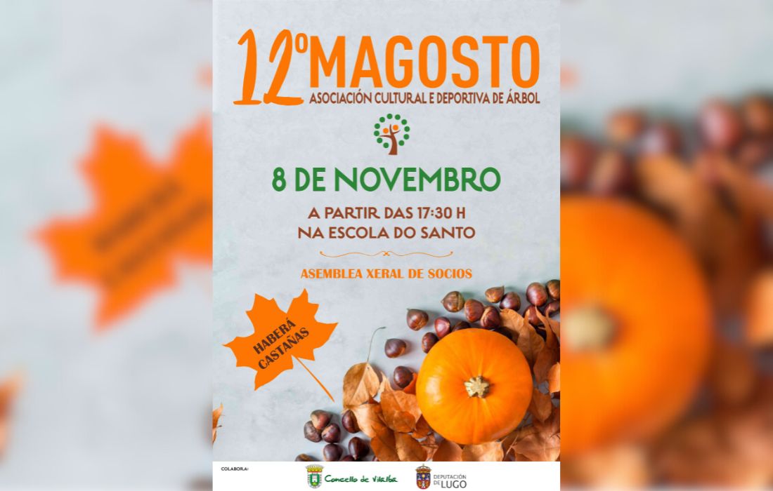 VILALBA magosto arbol