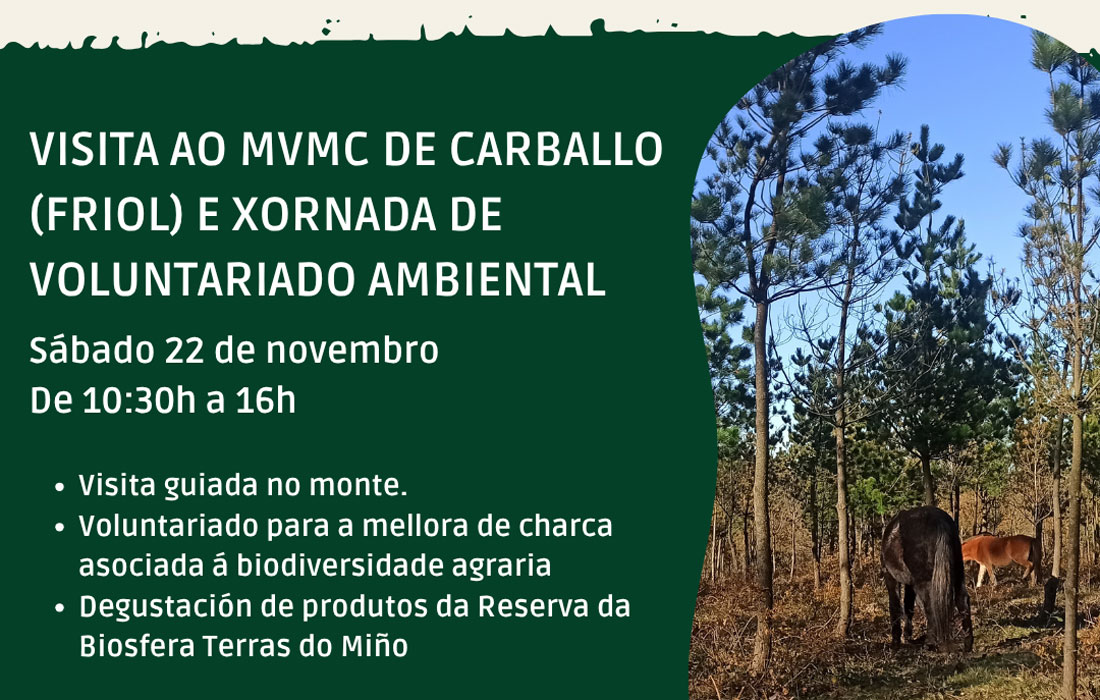 cartel-custodia-Friol