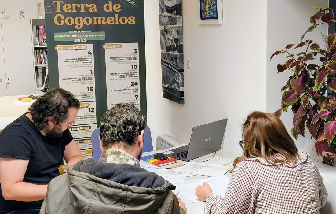 eleccion-finalistas-terras-de-cogomelos