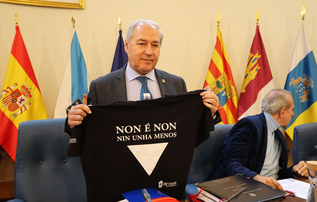 pleno-deputacion-25n