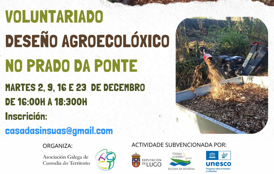 actividade-casa-das-insuas-voluntariado