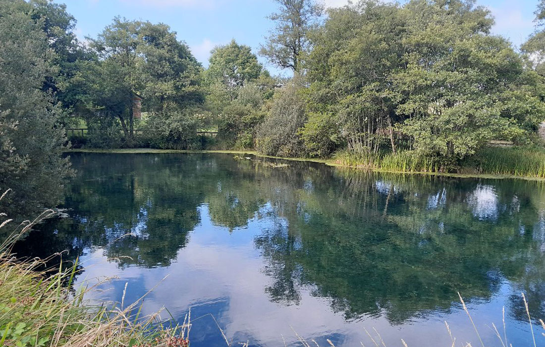 lagoa-fonmina-pastoriza-tras-limpeza