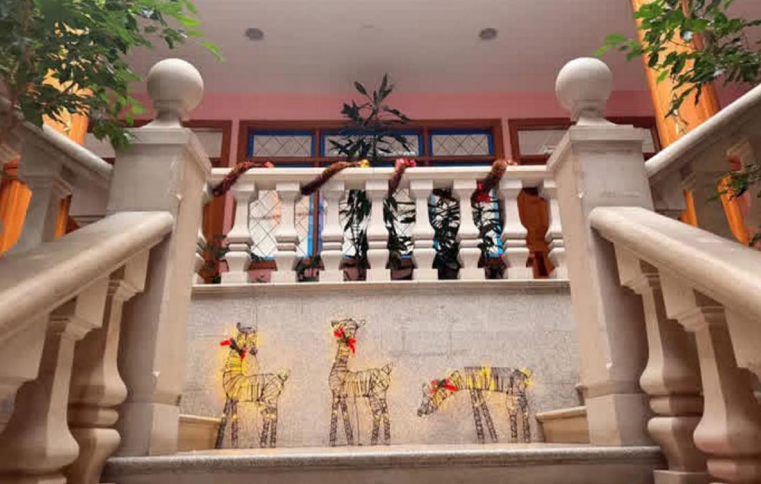 luces-de-nadal-a-pastoriza