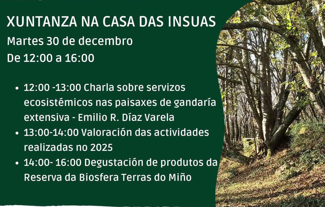 xuntanza-casa-das-insuas