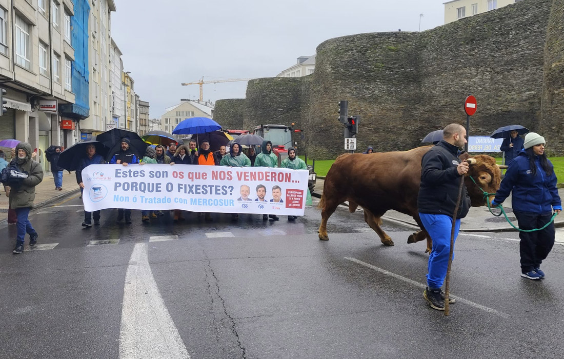 manifestacion-gandeiros-lugo