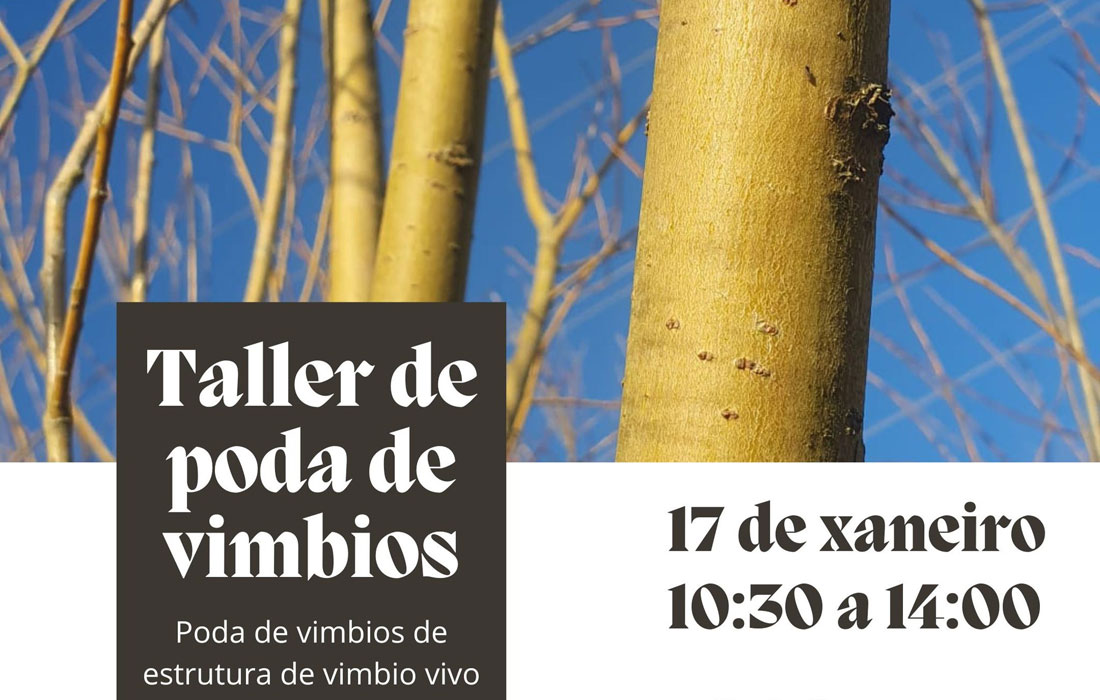 obradoiro-poda-de-vimbios