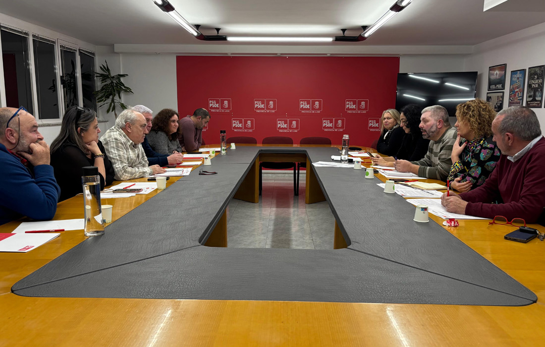 reunion-psoe-provincial-lugo