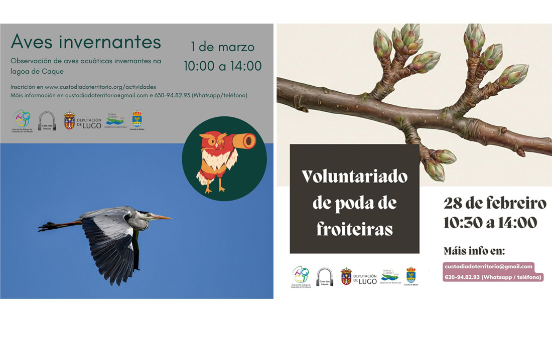 actividades-casa-das-insuas