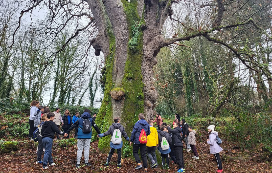 alumnado-Friol-Carballo-de-Cerracín