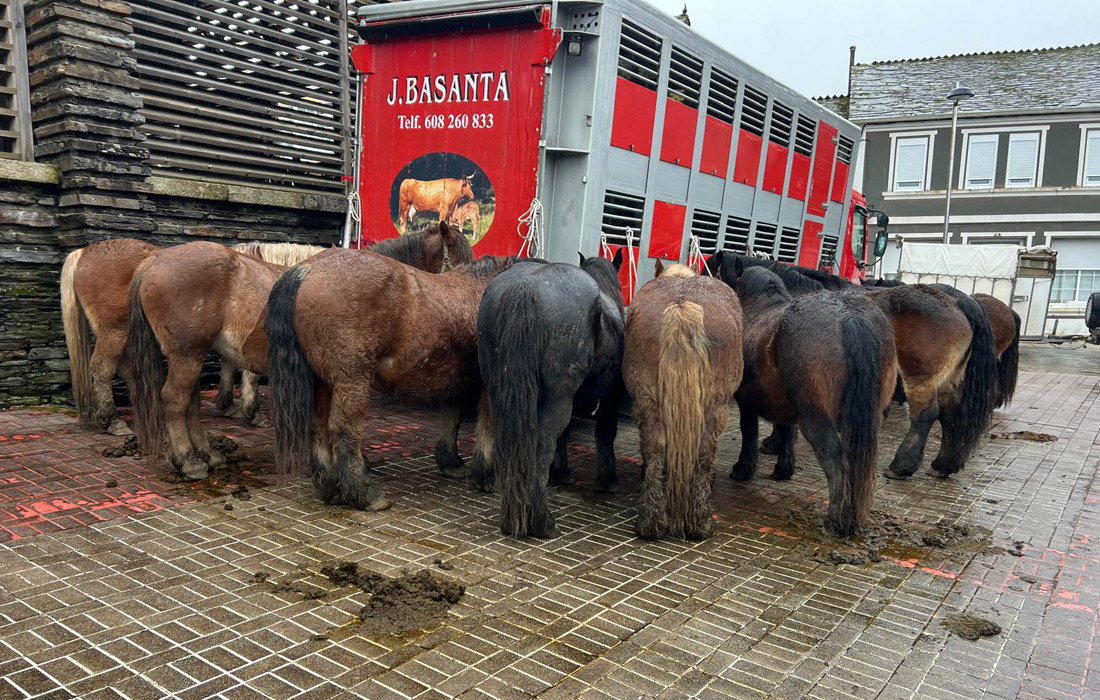 poldros-abadin-cargadoiro