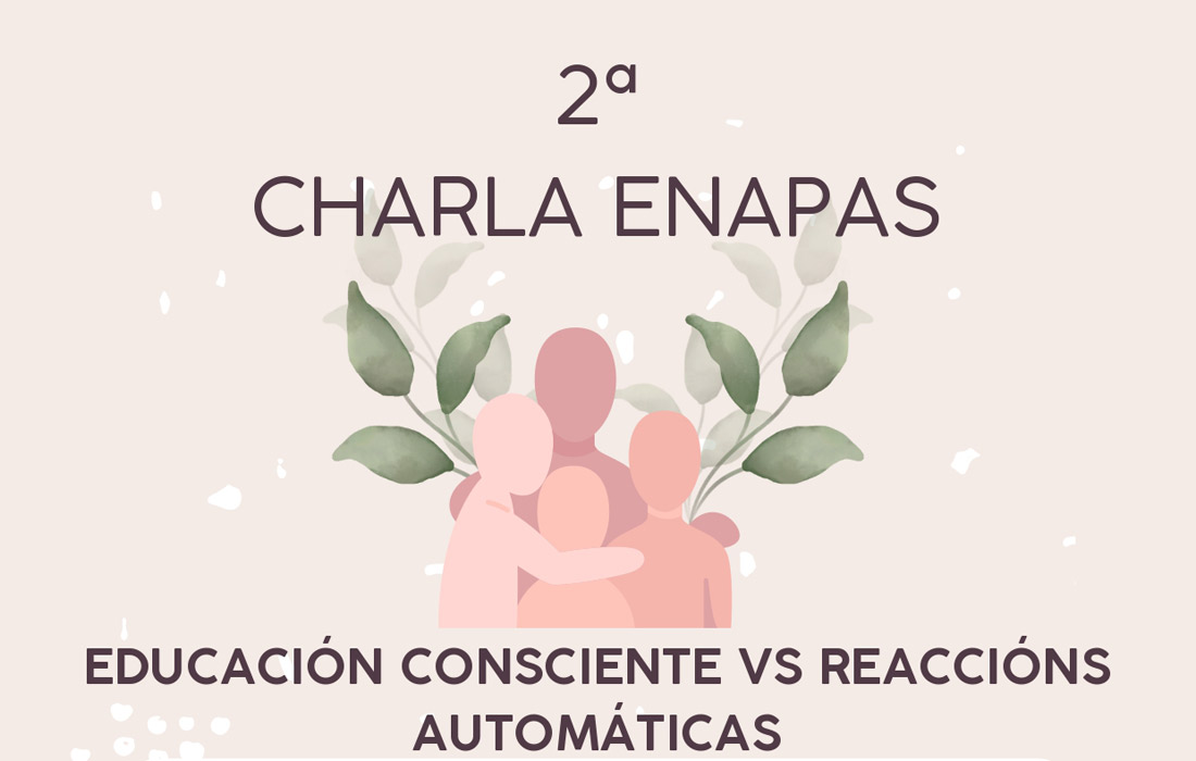 segunda-charla-enapa-meira