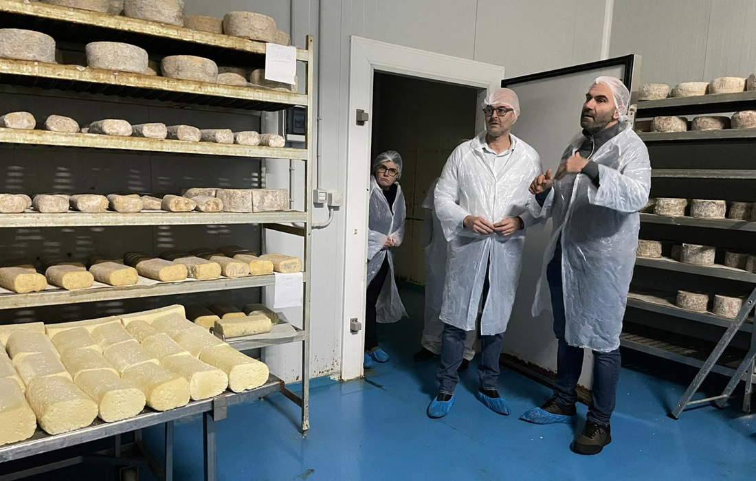 visita-queixos-vilalba-prestes