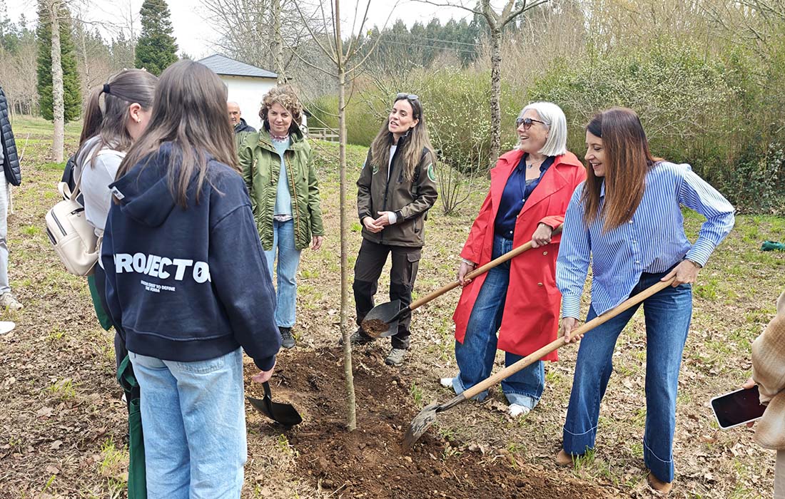dia da arbore sambreixo