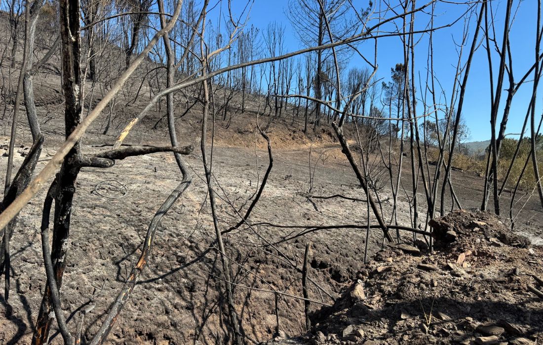 incendio-quiroga