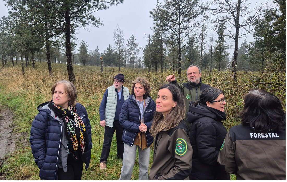 luisa-pineiro-abadin