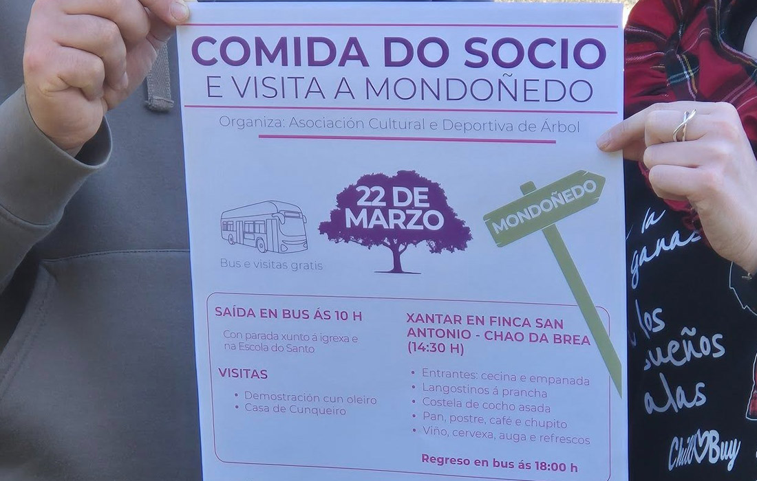 presentacion-comida-socio-arbol