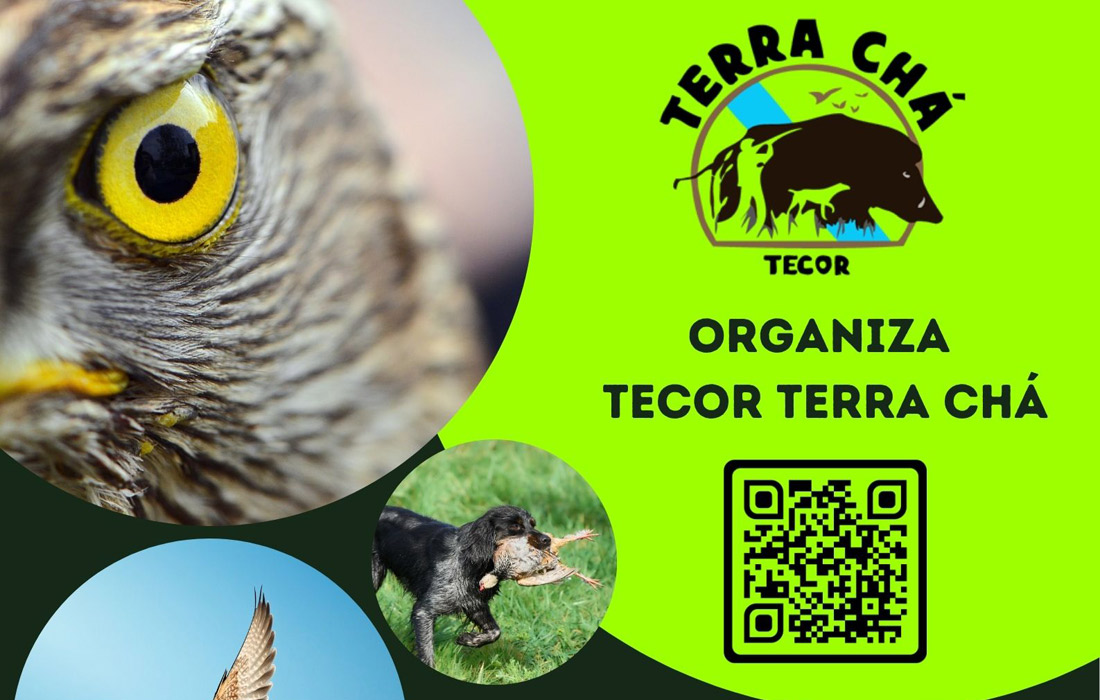 quedada-cetreria-terra-cha-tecor