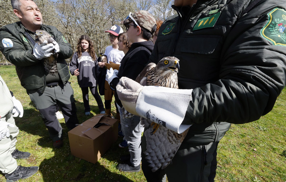 solta-azores-outeiro-de-rei