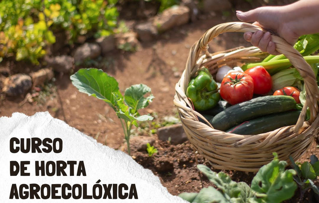 curso-horta-ecoloxica-rabade