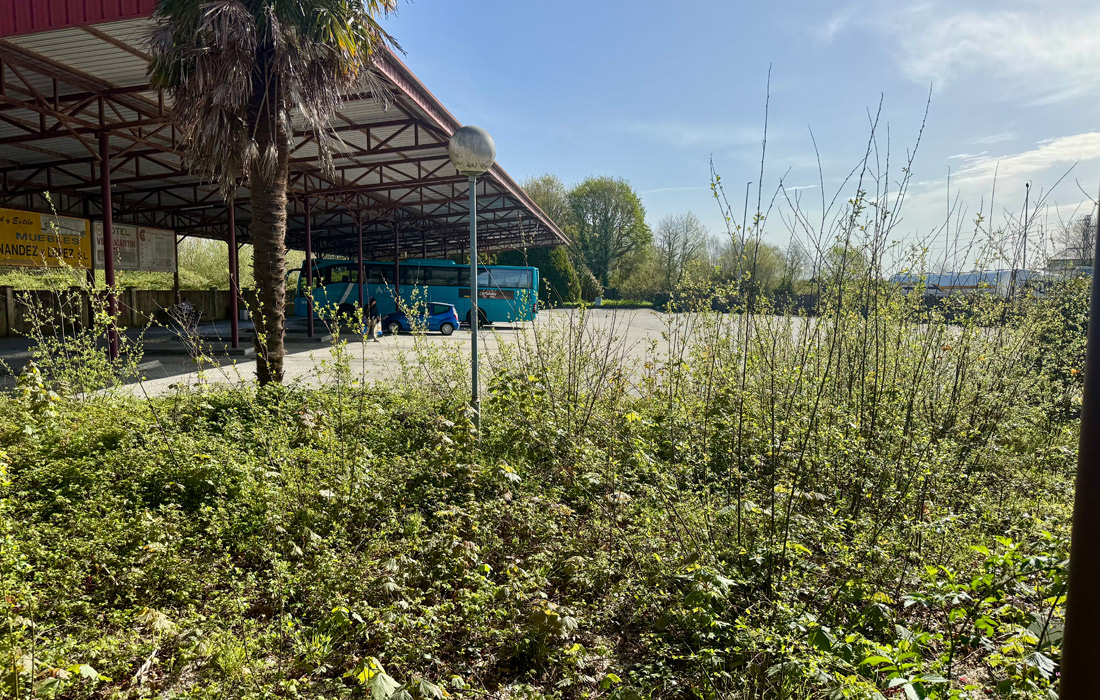 estacion-autobuses-vilalba