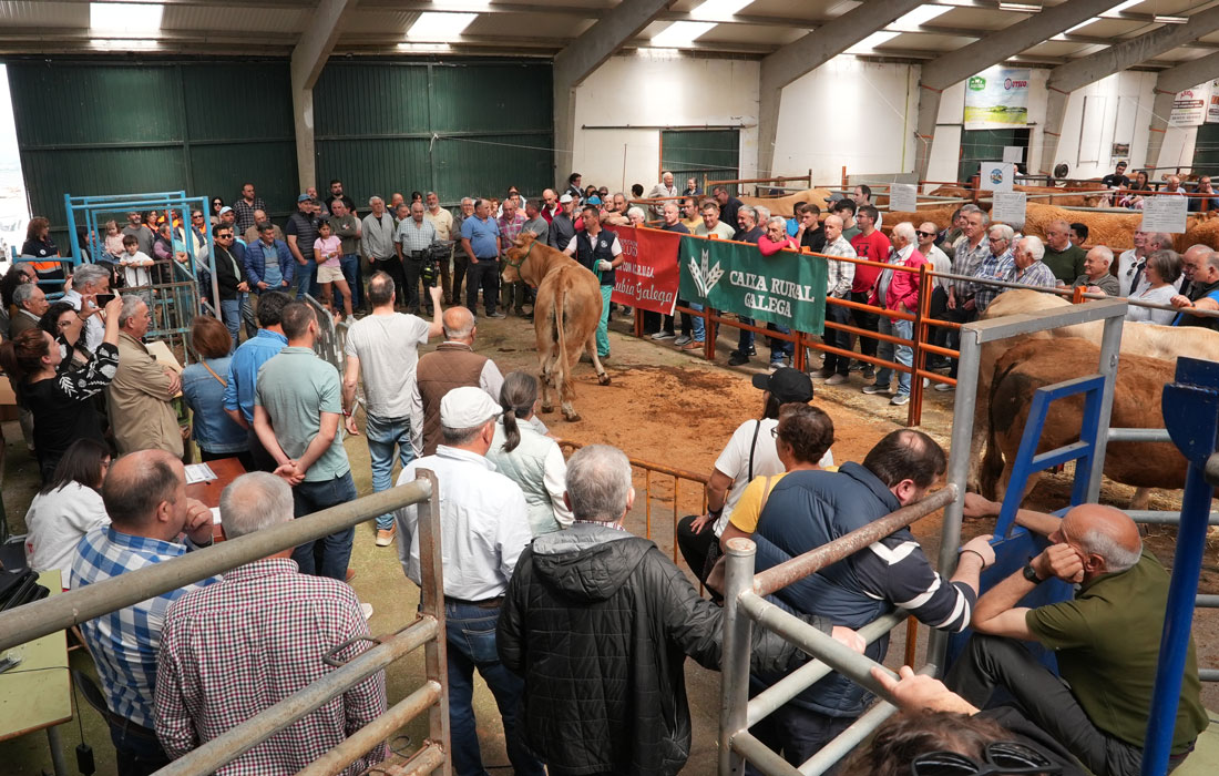 poxa-xovencas-A-Fonsagrada-2026