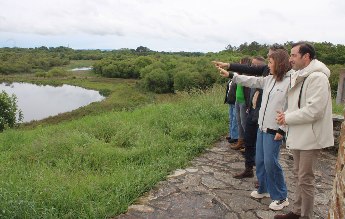 aves-acuaticas-lagoa-de-cospeito
