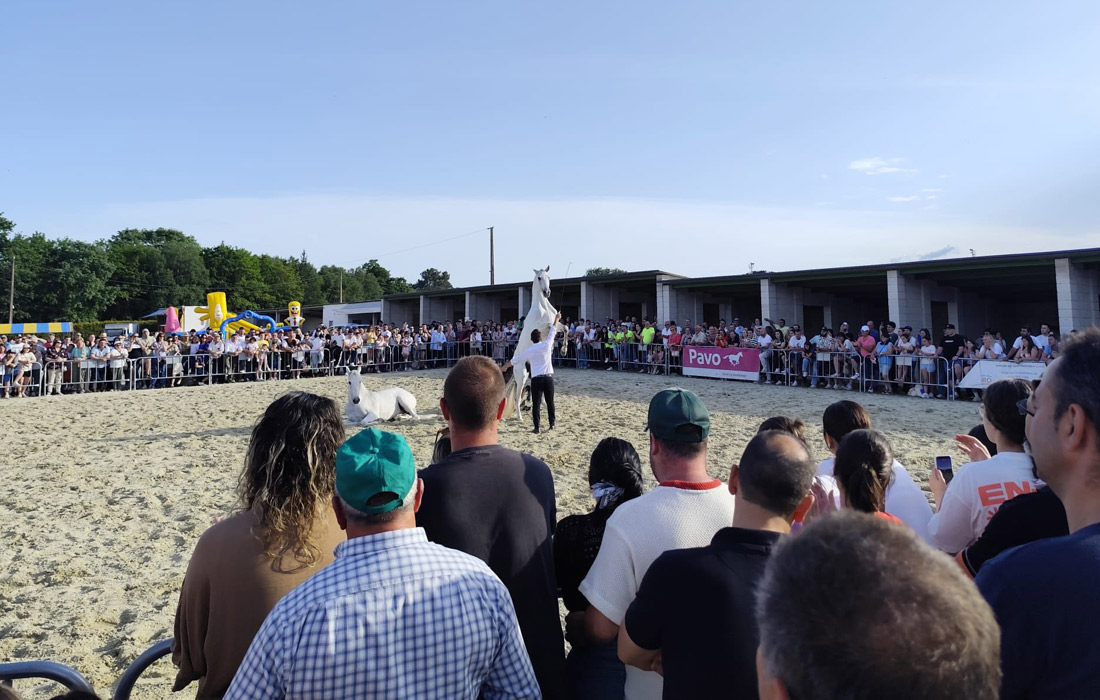 feira-do-cabalo-de-friol
