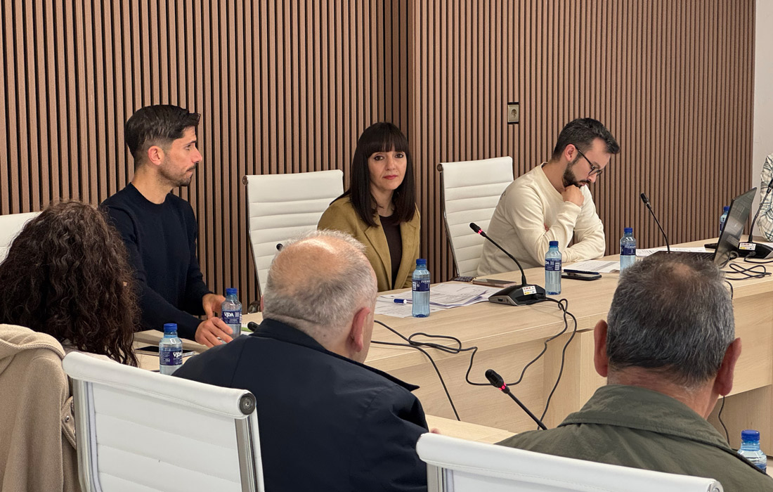 pleno-de-vilalba-marta-rouco
