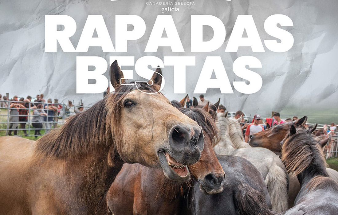 rapa-das-bestas-vilapedre