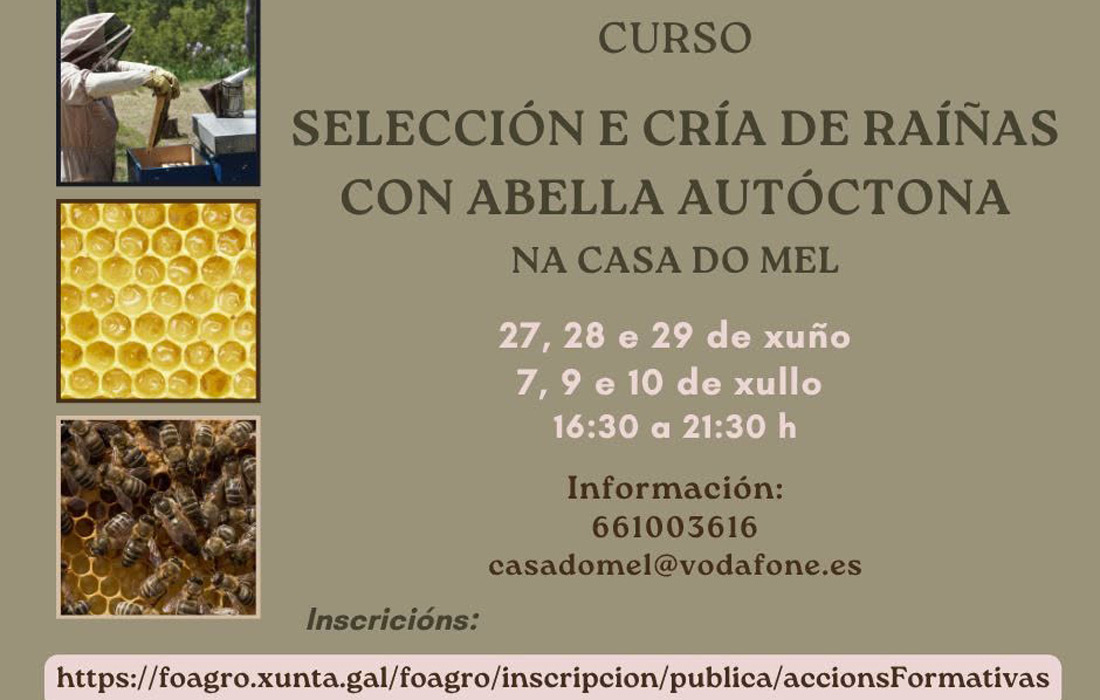 curso-cria-rainas-casa-do-mel