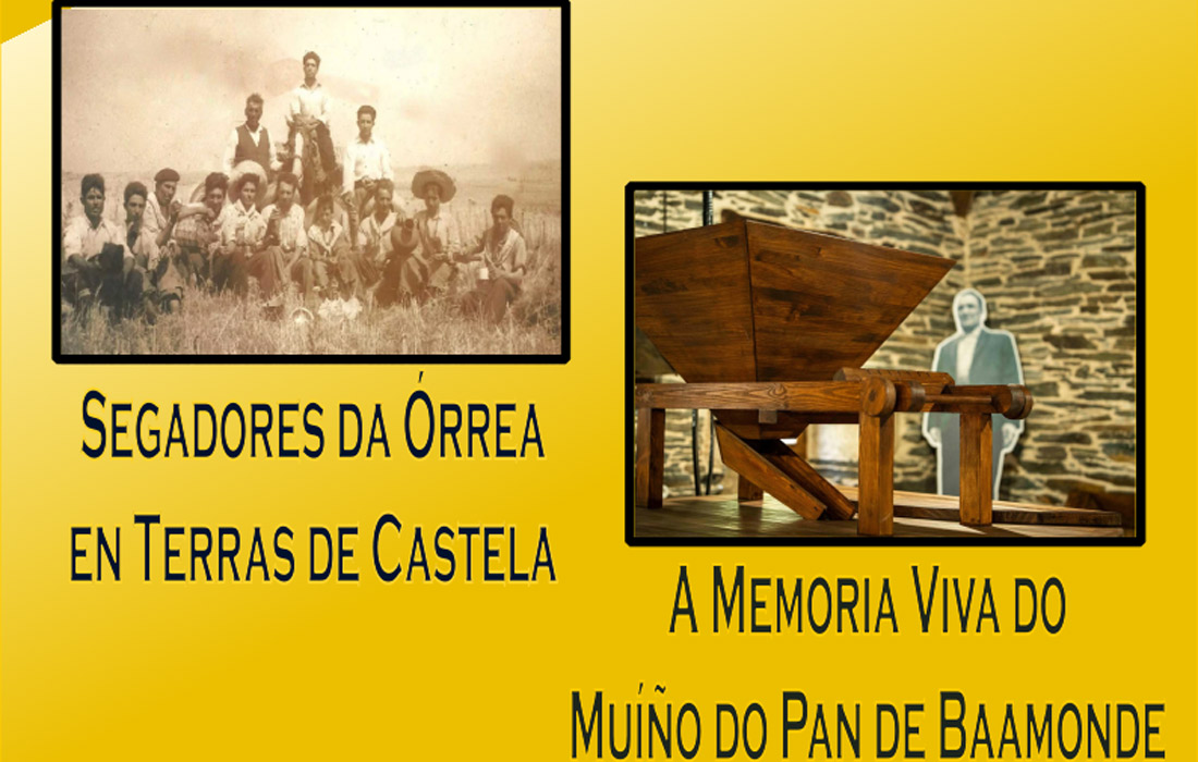 proxeccion-documentais-baamonde
