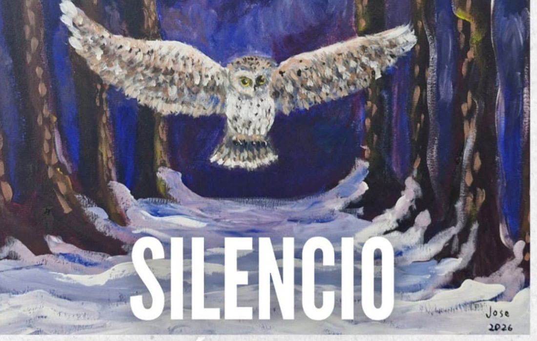 exposicion-silencio-as-pontes