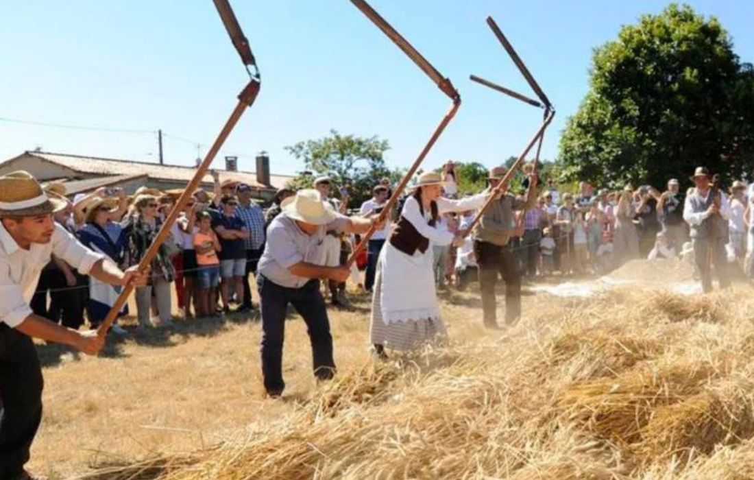 MALLA DE LALIN