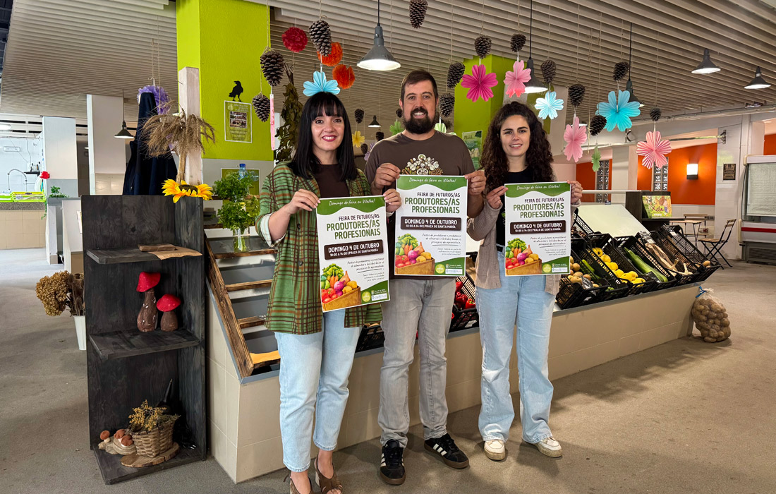 dinamizacion-domingos-de-feira-vilalba