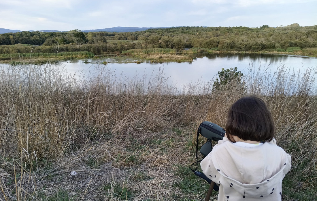 lagoa-cospeito-aves